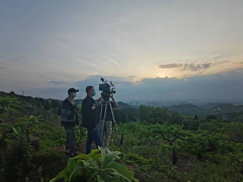创意破圈！汉中电商产品宣传视频用故事化叙事引爆流量